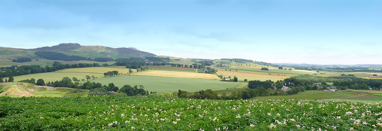 Bioanbau Wallenshausen